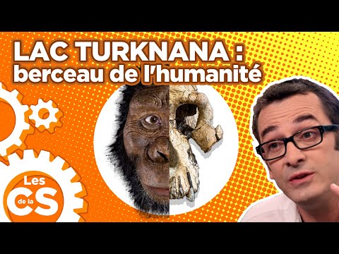 Pourquoi du ton que l’Afrique est le berceau de l’humanité ?