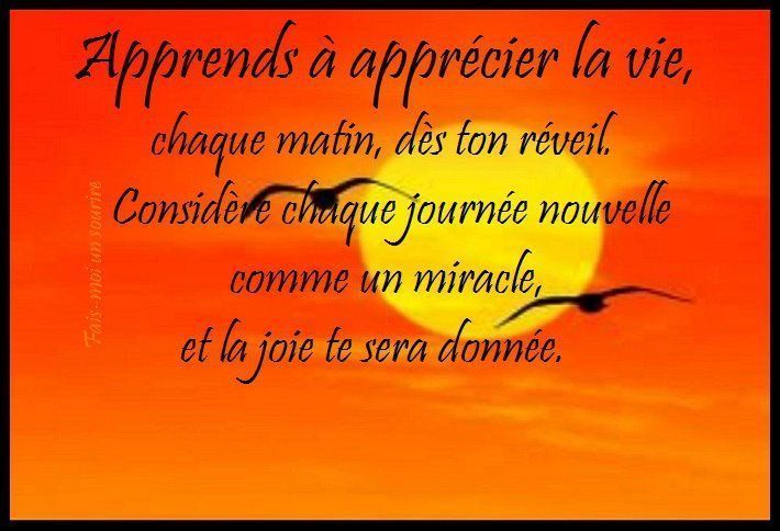 Pourquoi nouvel et pas nouveau ?