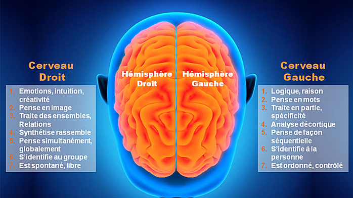 Qui fait partie de l’extrême gauche ?