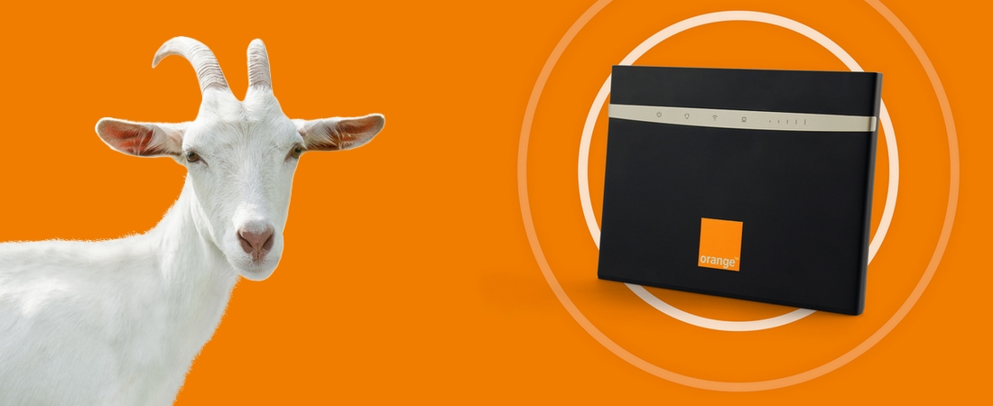 Pourquoi le GOAT est une chèvre ?