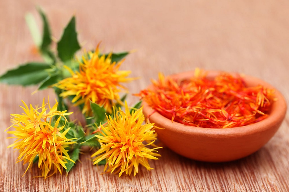 Est-ce Que Italie est qualifié ?