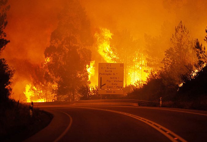 Qui a éliminé le Portugal hier soir ?