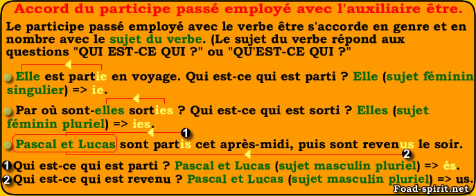 Qui participe synonyme ?