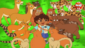 Ou à jouer Diego siméone ?