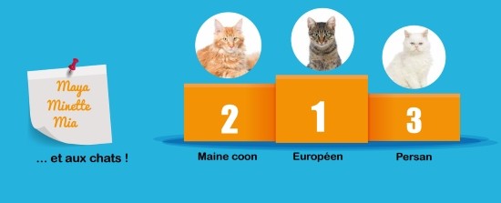 Quels sont les clubs de National 1 ?