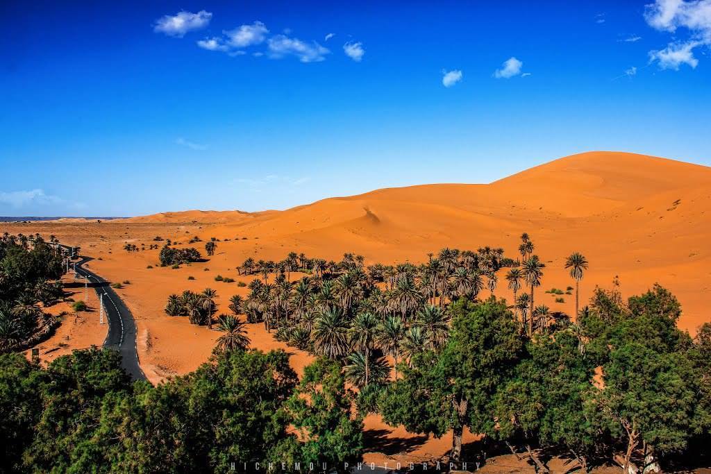 Quelle est le plus beau pays entre le Maroc et l algerie ?