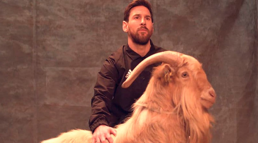 What is Leo Messi dog?