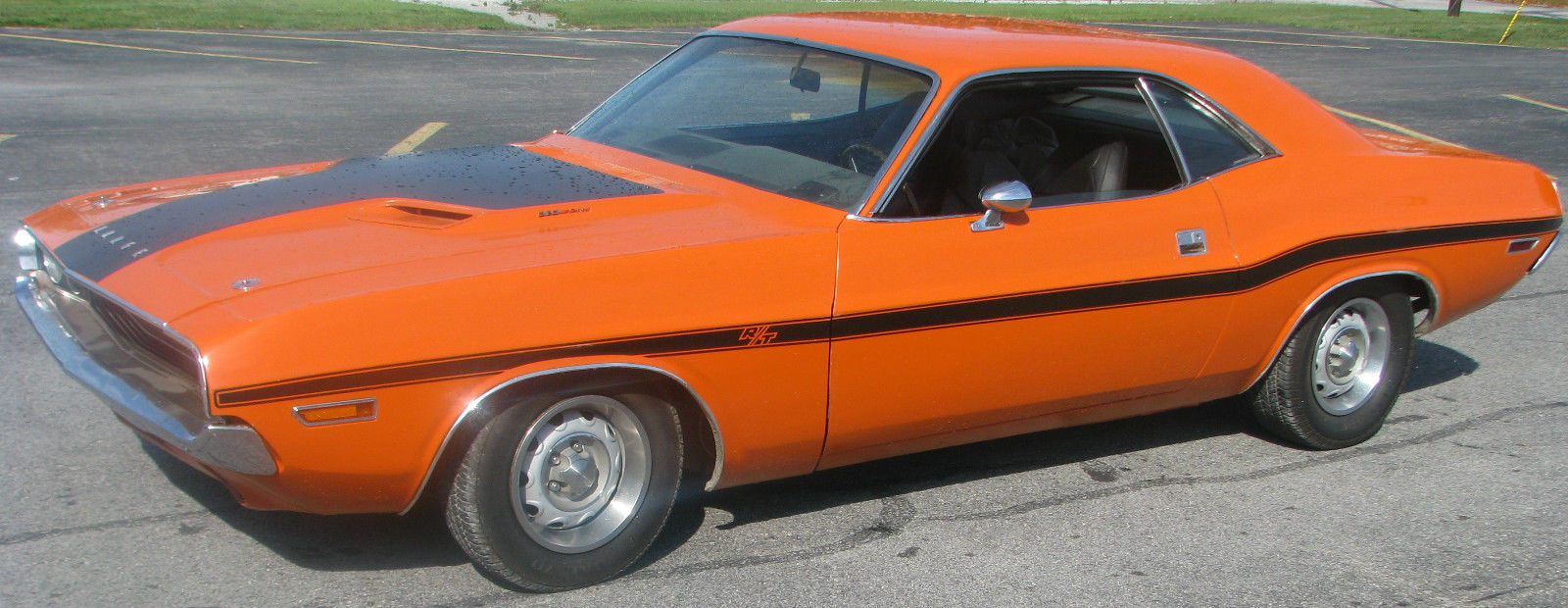 What does clear mean on sterling background check?