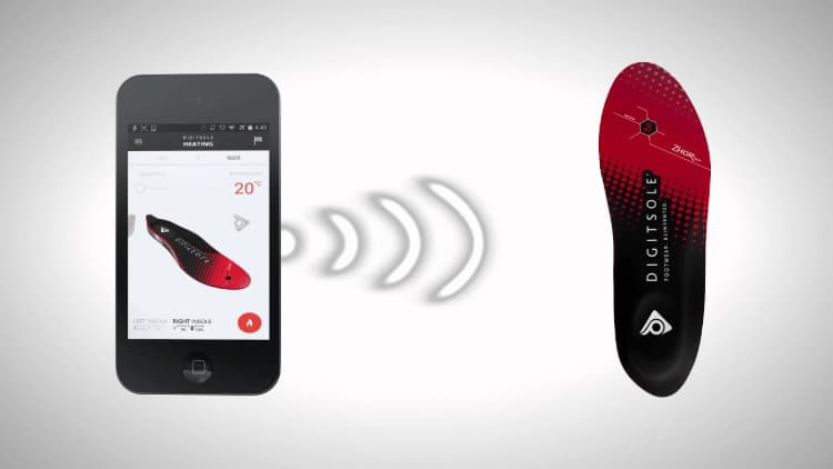 What is TOTY warm series?