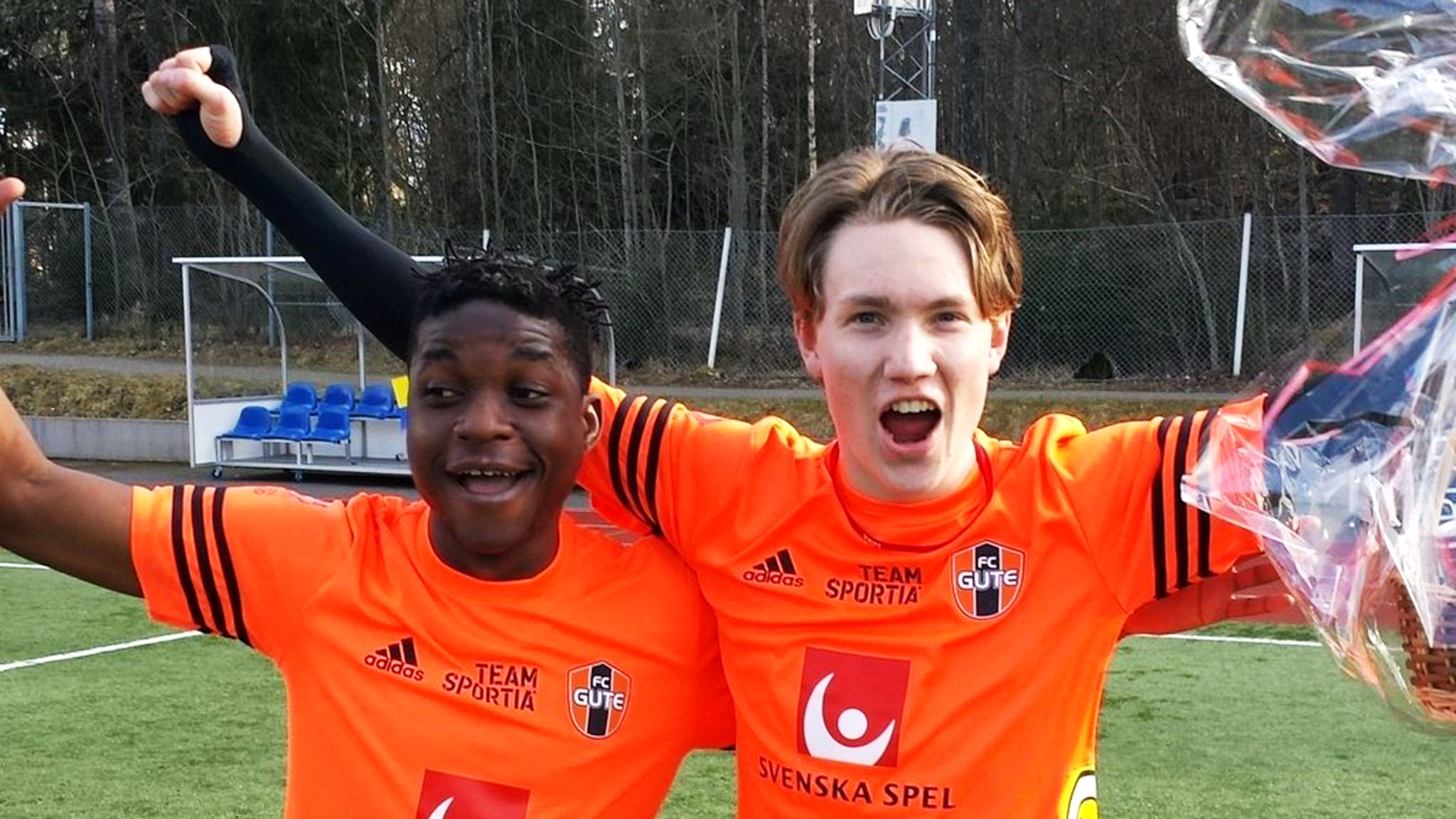 Who owns Hammarby FC?