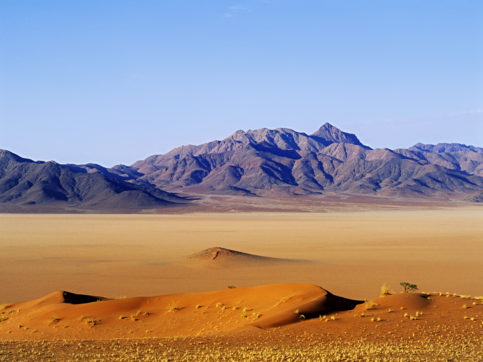 Why did Arsenal get rid of Aubameyang?