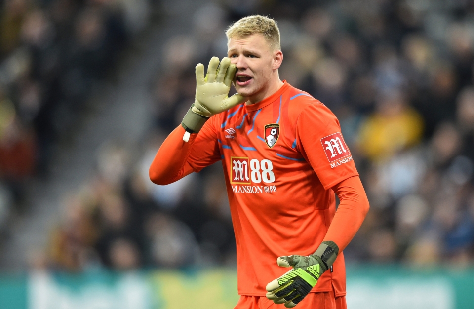 Has Sheffield United signed anyone?