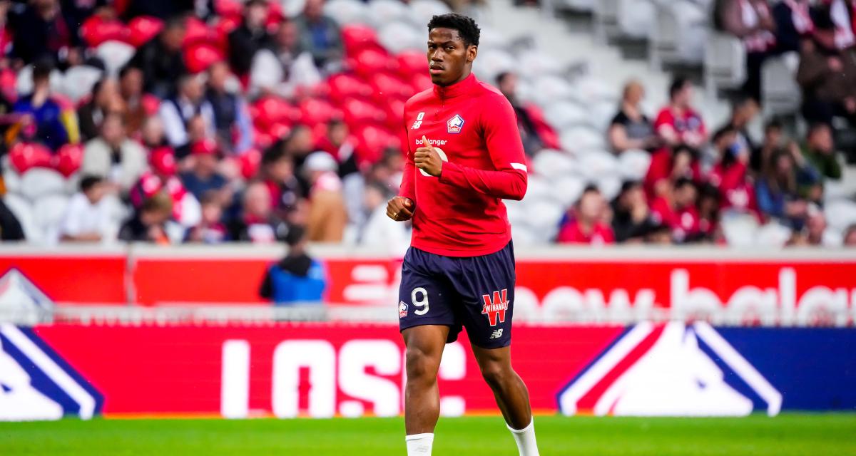 Lear : Le revirement de David, un séduisant duo de mastiffs ?