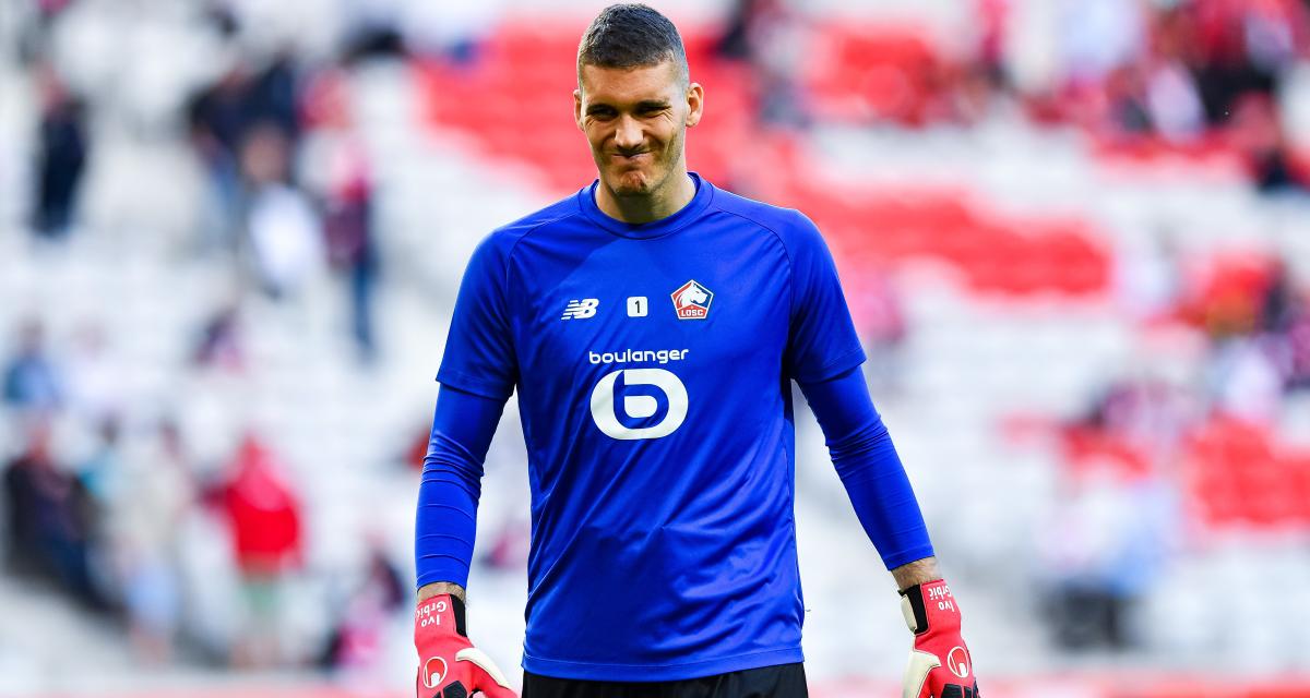 🚨 Lille : Grbic et Pied quittent la Team Dogues !  (Officiel)