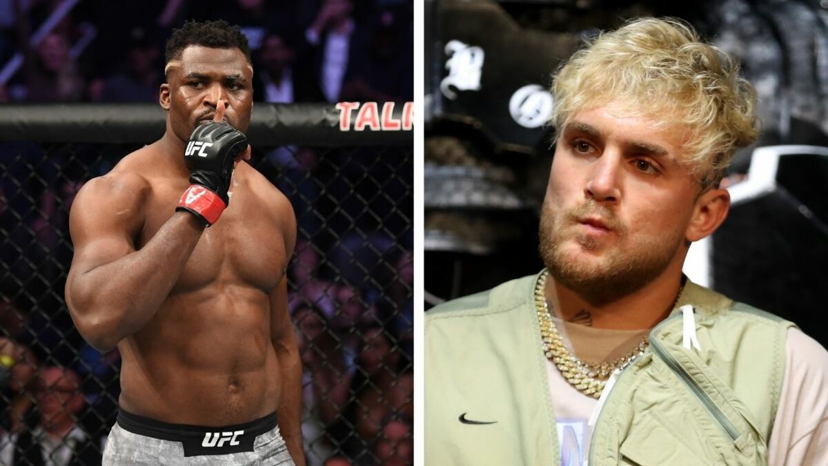 “Tu ne vas pas me combattre?”, Jake Paul affronte le champion de l’UFC