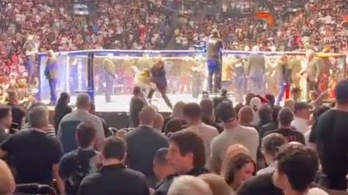 Un fan a tenté de pénétrer dans l’octogone et a été projeté violemment après une bagarre (vidéo)