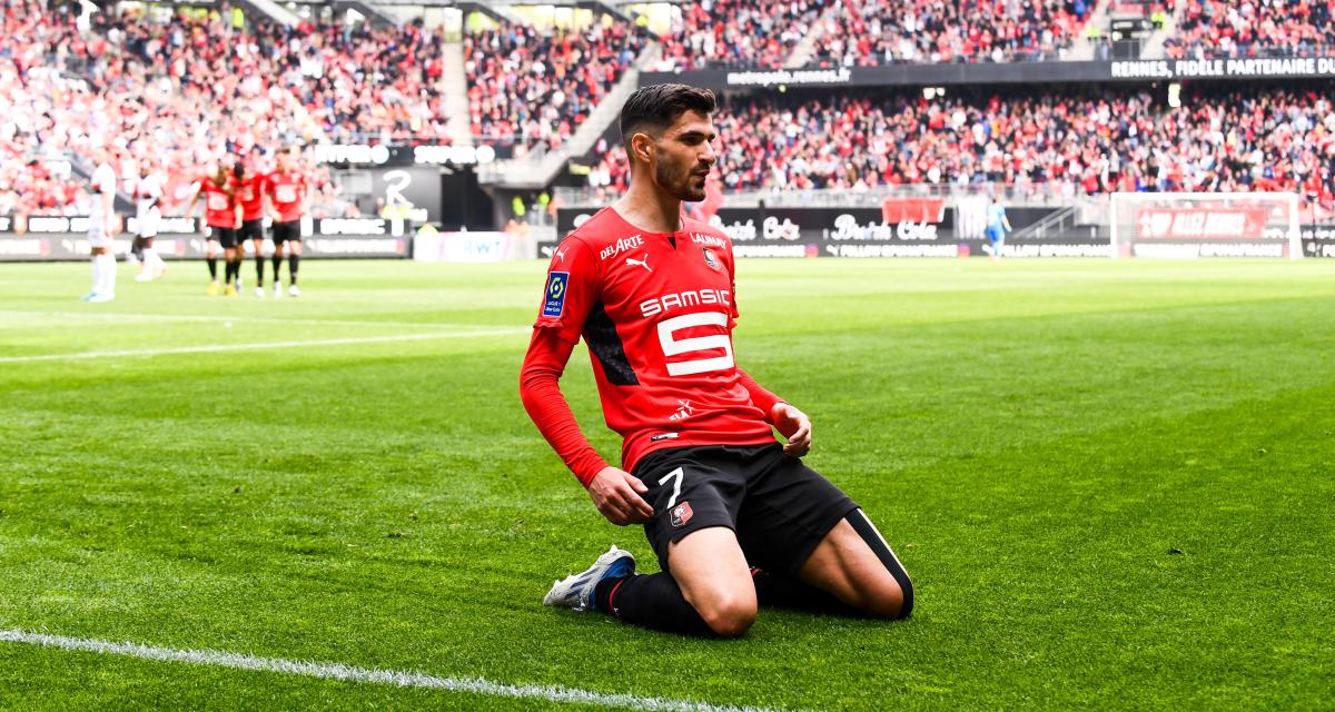 Wren : Grosse alerte de la SRFC, les terriers vont attirer l’attention du Cador européen !