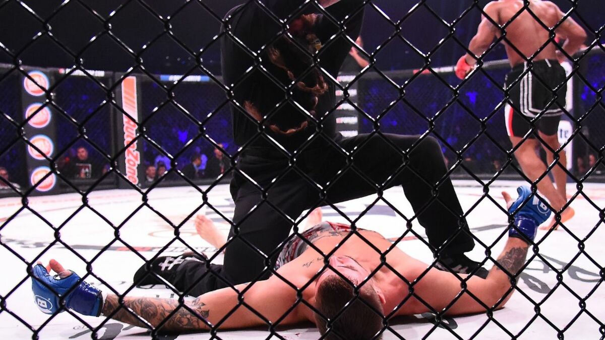 Le célèbre rappeur français est aussi un combattant professionnel du MMA, et vous ne le saviez pas (vidéo)