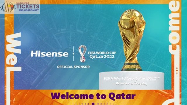 How much does a FIFA ticket cost?