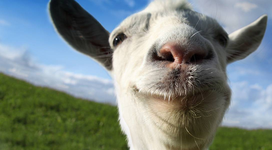 Pourquoi surnom Goat ?