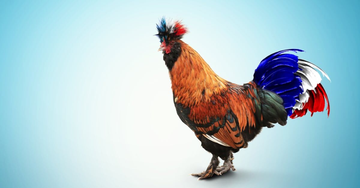 Pourquoi symbole coq ?