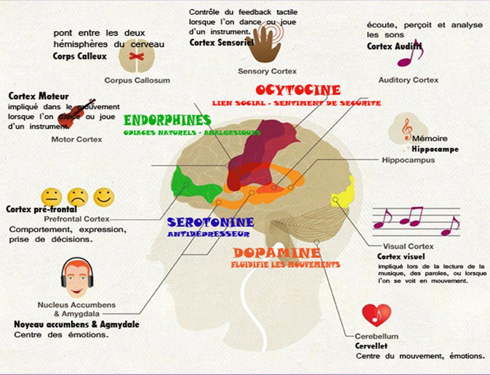 Quelles sont les caractéristiques du reggae ?