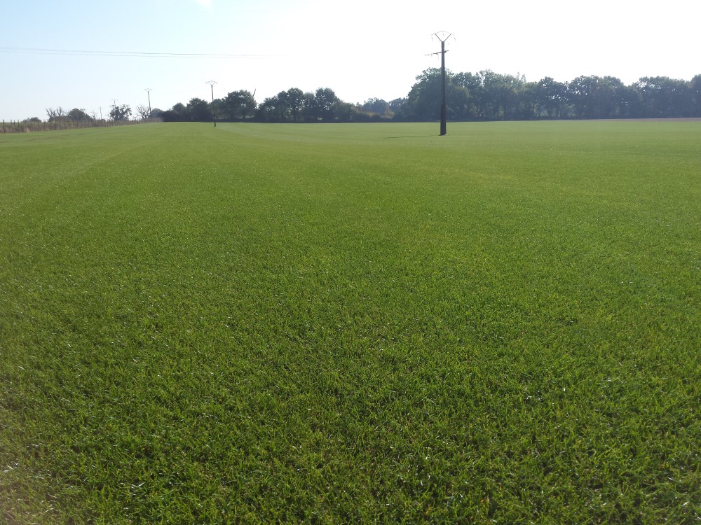 C’est quoi 1 hectare ?