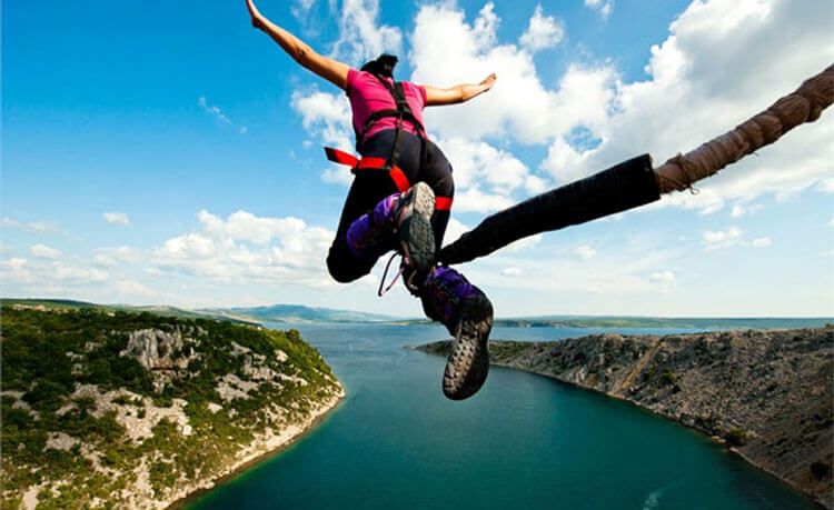 Quelle hauteur saute un lion ?