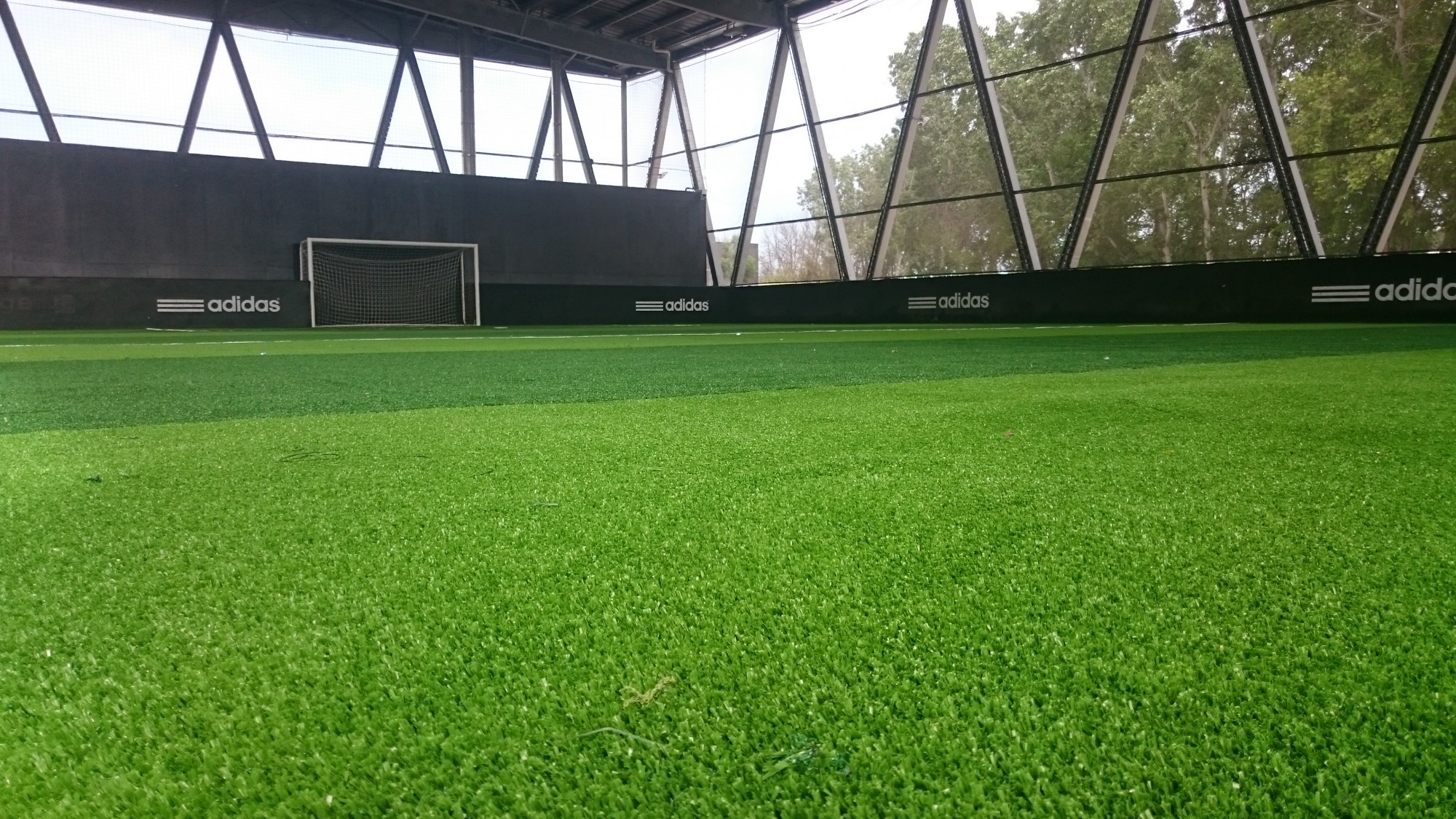 C’est quoi le gazon anglais ?