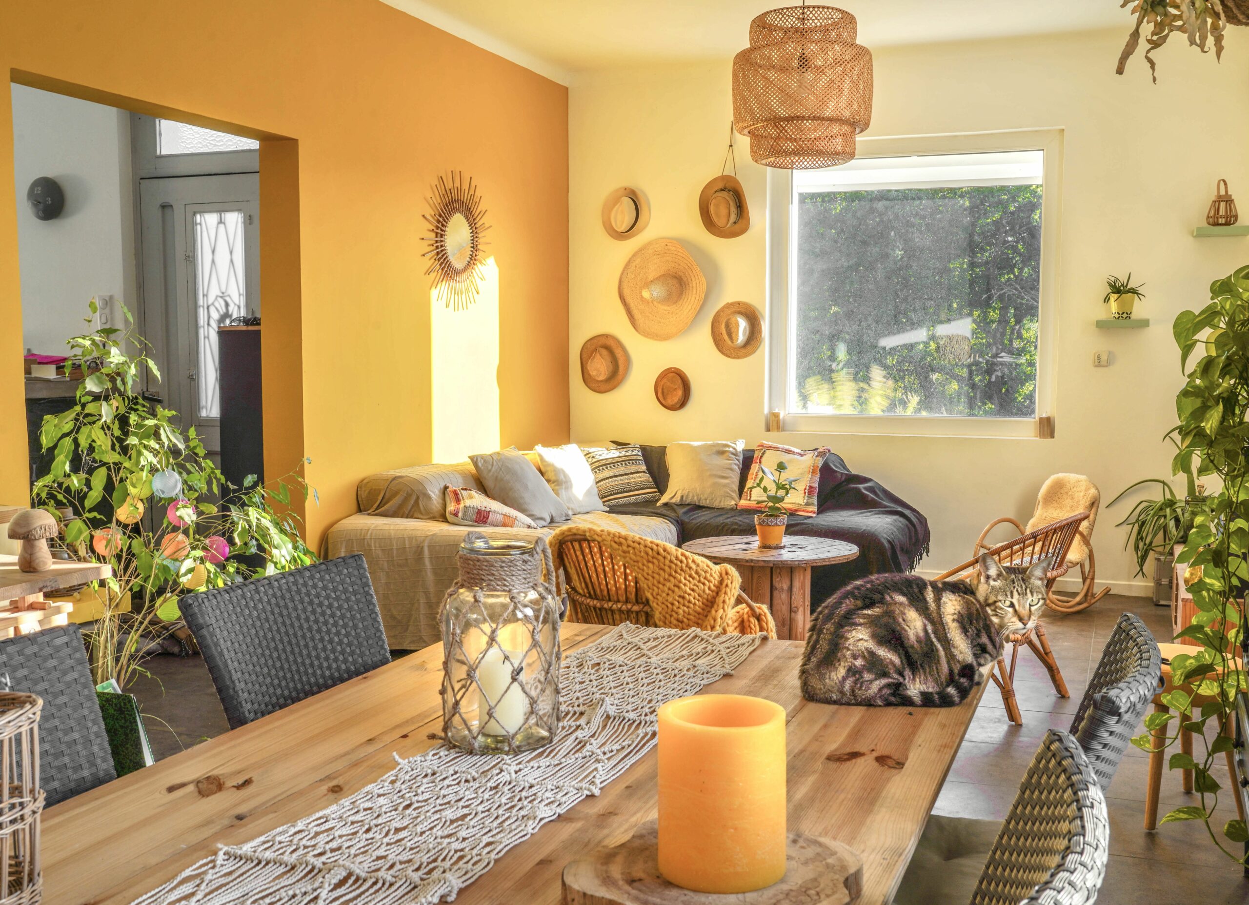 Quels sont les bienfaits de la mûre ?