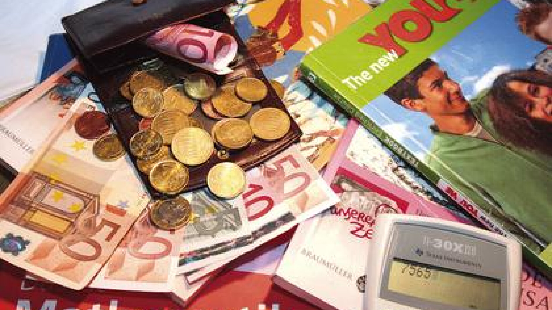 Wie finanziert sich der BVB?